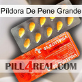 Píldora De Pene Grande new01